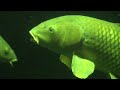 埼玉水族館 20091017 07