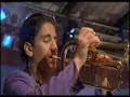 Muzicka scena iz filma Guca Distant Trumpet