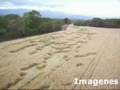 videos de Huellas de Ovnis en Chicoana