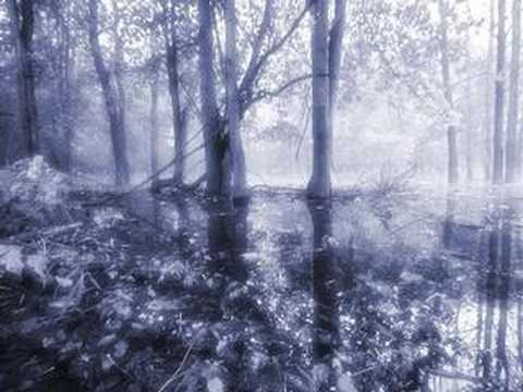 how to open your mind