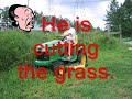 English Vocabulary - The Verb 