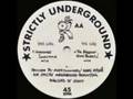 Sonic Experience - Protien (The Biggest Nose Bleed! Mix)