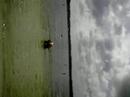 water karatie