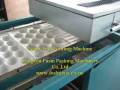 videos de Foam tray forming machine