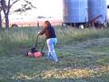 videos de Jardinera