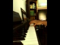 Rihanna - Diamonds (piano cover)