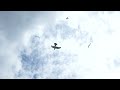 This video of an outdoor demo of the Smartbird was also taken at the 2011 TED Conference in Edinburgh. Well, it seems real seagulls don't like their new larger robotic competitor too much. Enjoy! Web: www.gearfactor.com.hk
