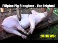 Filipino Pig Slaughter - The Original