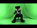 Bearcats Come Back -- Part 1