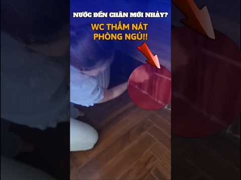 NƯỚC ĐẾN CHÂN MỚI NHẢY?-TOILET THẤM NÁT PHÒNG NGỦ