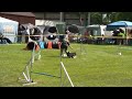 Felicitas Rinnert mit Blümchen, Lechfeld, 19.05.2012, Jumping