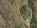 Help I Fell!