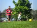 videos de canal 100