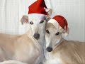 ¡feliz navidad!   actualizado el 28 12 2007