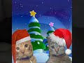 �Feliz Navidad! - actualizado el 28-12-2007