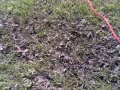 Gaer Park Model Flying Club : Adrian Hurford's Heli Cam