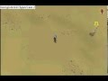max hit with dark bow