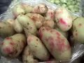Saraguros