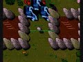 Tibia Dolera war waterloo