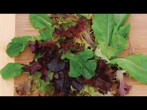 video-linktoworks-How To Plant & Grow Lettuce