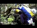 Al filo de lo imposible - Illa R�union. Trou de Fer. 6/7