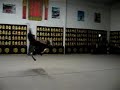 Shifu doing aerial