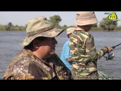 YouTube Трейлер