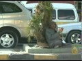 برنامج الغذاء العالمي يحذر من تدهور غذائي باليمن