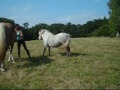 Opale