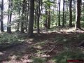 Singlespeed video