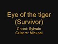 Eye of the tiger Eye of the tiger