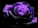 RICHARD BONE ambient video By Any Other Name