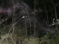 Real Ghost Picture Show Paranormal Haunted NCGhost.com Real Ghost Picture Show Paranormal Haunted NCGhost.com