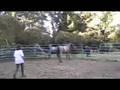 videos de VJ's Blues Ritz Crackers