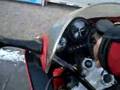 Foto v�deo