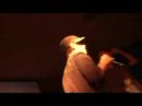 Urthboy - Live @ Step inn