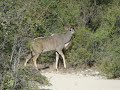 Namibia Part 1