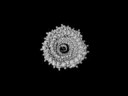 Formel-Effector-1 Formel-Effector-1
