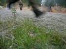 Berget 4 Berget 4