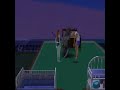 Sims2 resurection