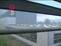 Miniatura del vídeo Granizada del carajo en Alemania