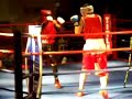 Authentic Boxing: Down For the Count 4 - Amateurs - 3.13.08