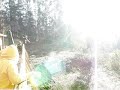 Canopy
