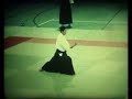 Bujutsu in Vienna in the Eighties
