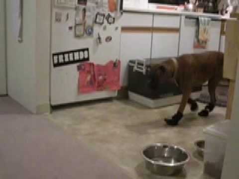User submitted video