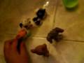 videos de littlest pet shop-campamento