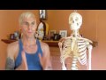 yoga anatomy - Smart Yoga