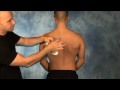 How to Apply Kinesiology Tape - SpiderTech Upper Back/Postural Spider