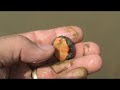 Baby Eastern Painted Turtles - part 3 of 4