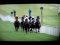 Sea The Stars - Irish Champion Stakes 2009